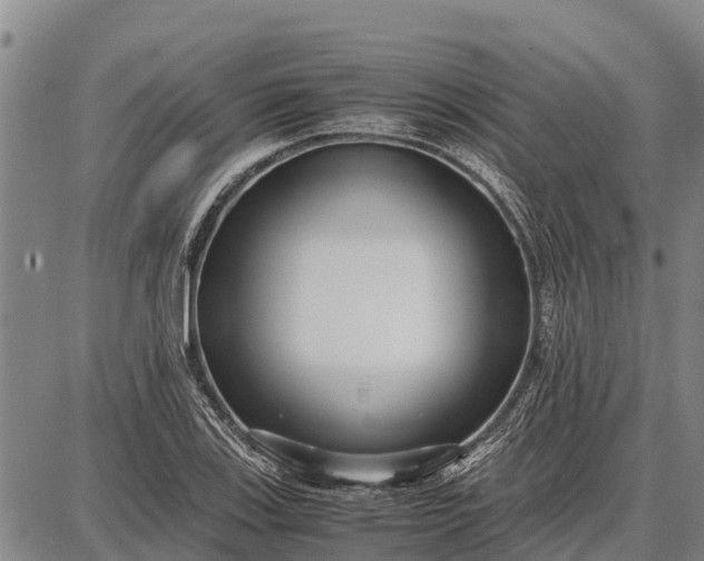 X0000087691123200705181748