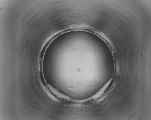 X0000087691124200705181748