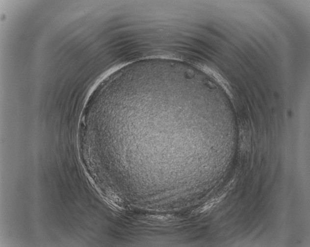 X0000087691125200705181748