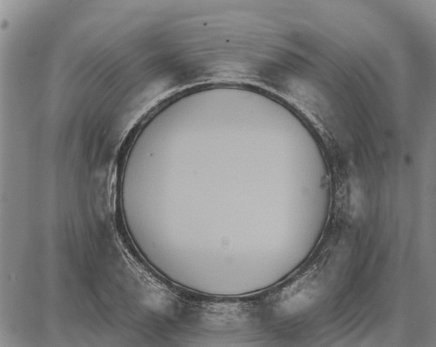 X0000087691126200705181748