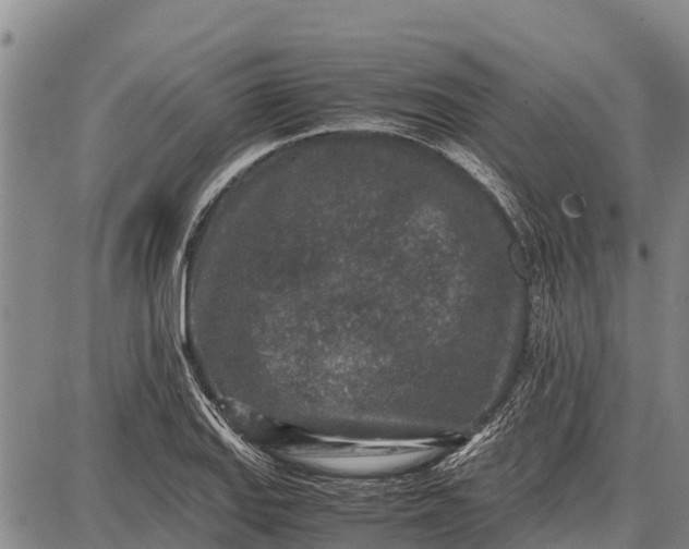 X0000087691127200705181748