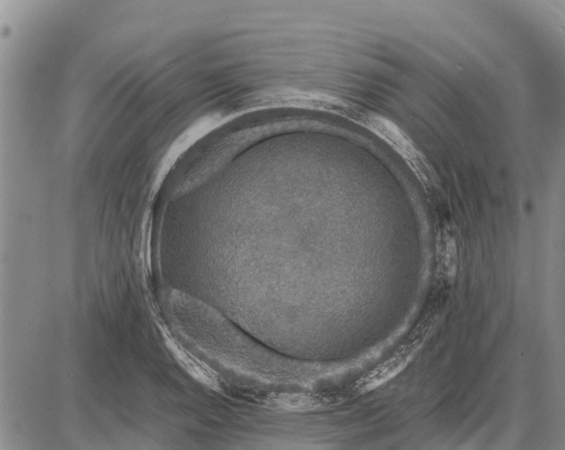 X0000087691128200705181748