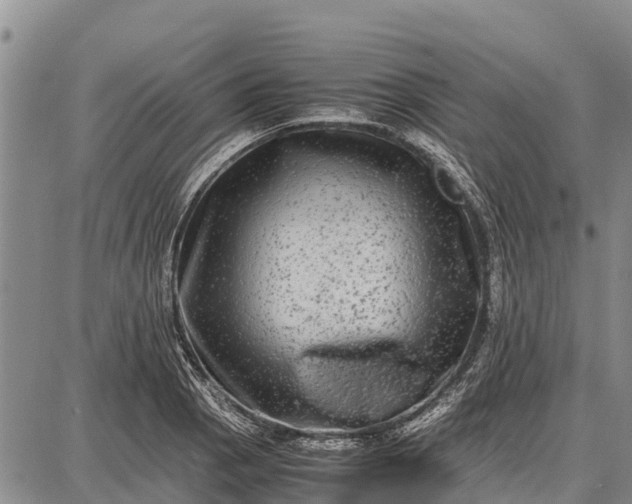 X0000087691129200705181748