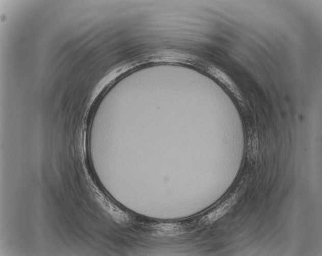 X0000087691130200705181748