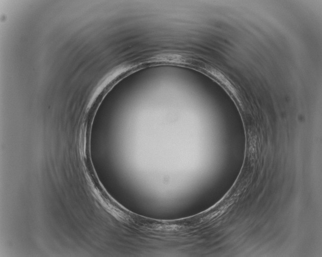 X0000087691131200705181748