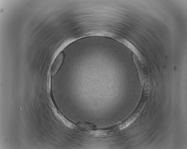 X0000087691132200705181748