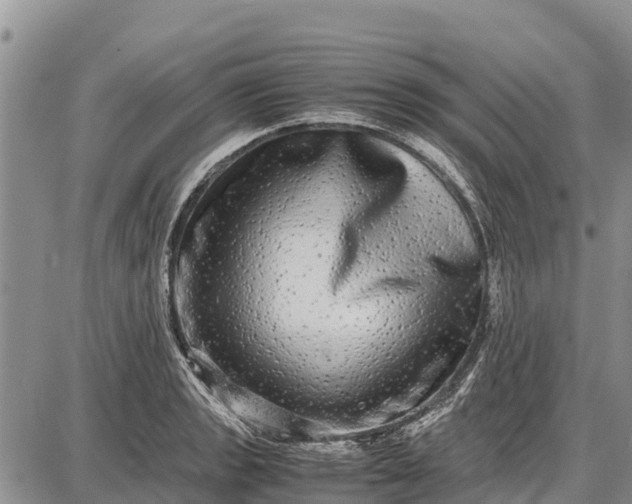 X0000087691133200705181748