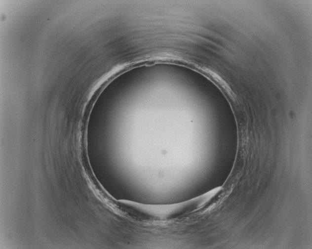 X0000087691134200705181748