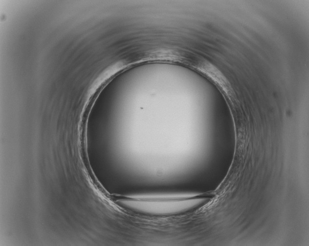 X0000087691135200705181748