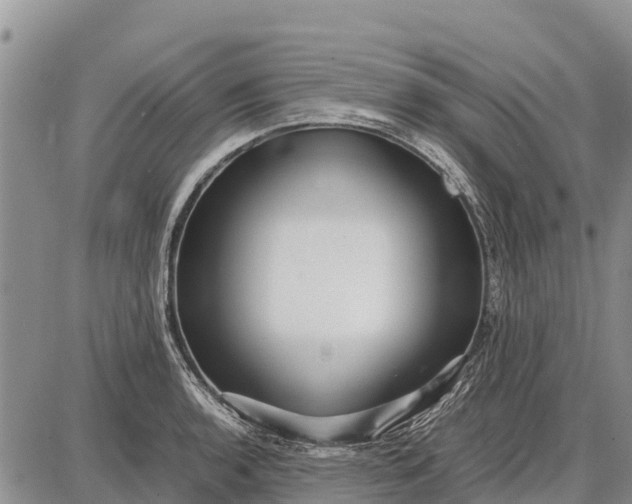 X0000087691136200705181748