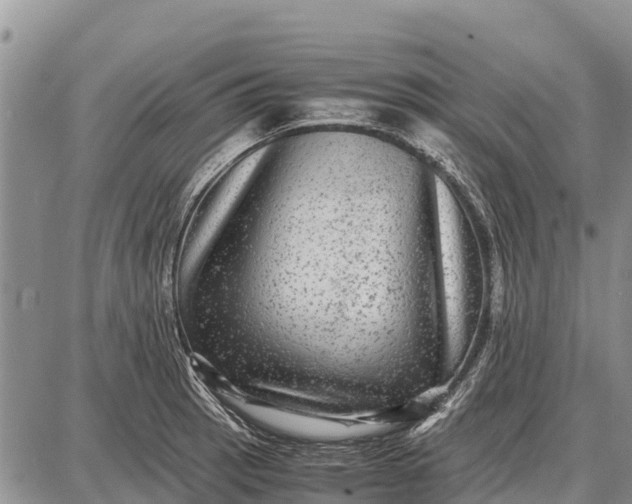 X0000087691137200705181748