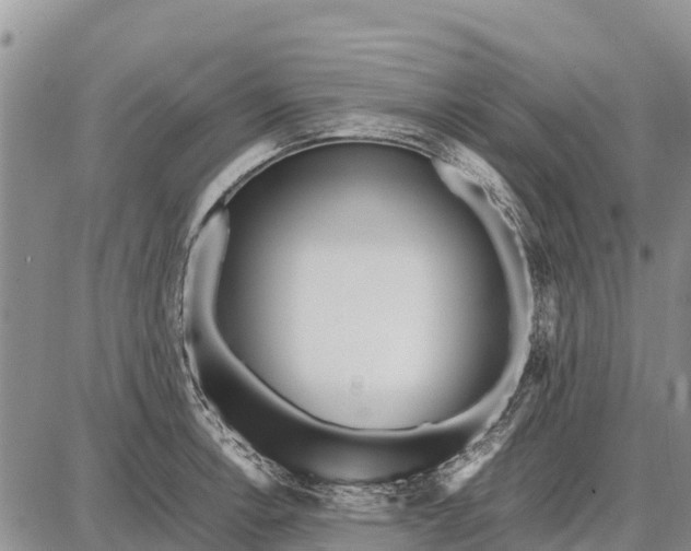 X0000087691138200705181748