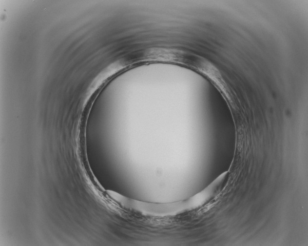 X0000087691139200705181748