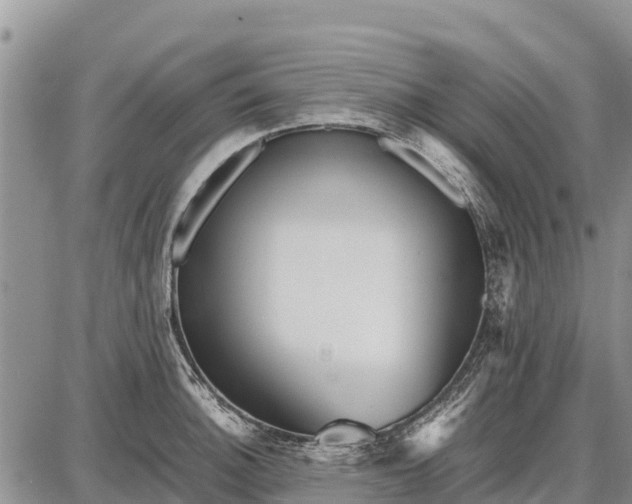 X0000087691140200705181748