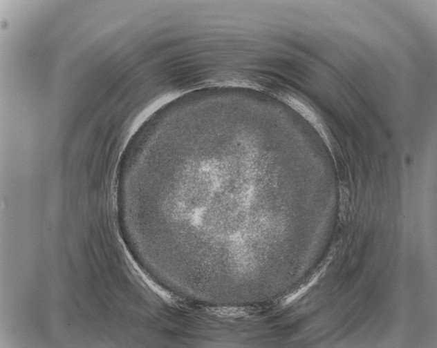 X0000087691141200705181748