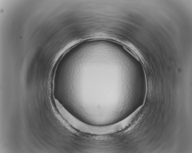 X0000087691142200705181748