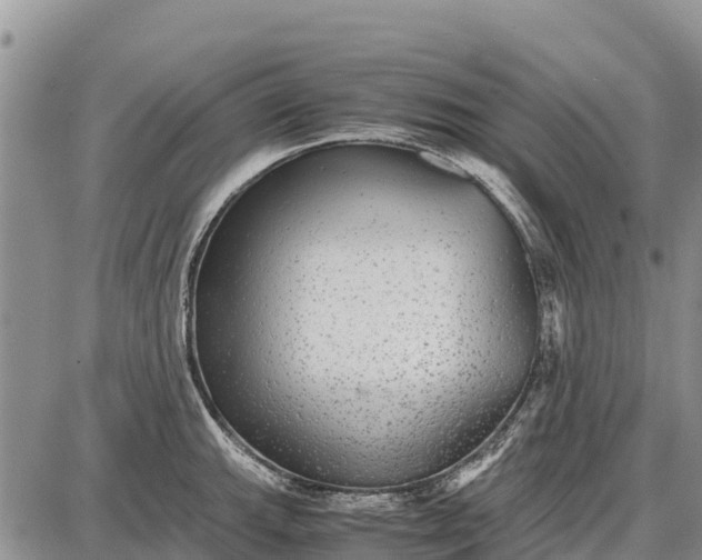 X0000087691143200705181748