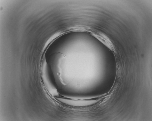 X0000087691146200705181748