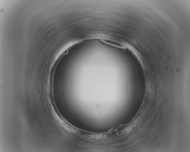 X0000087691147200705181748