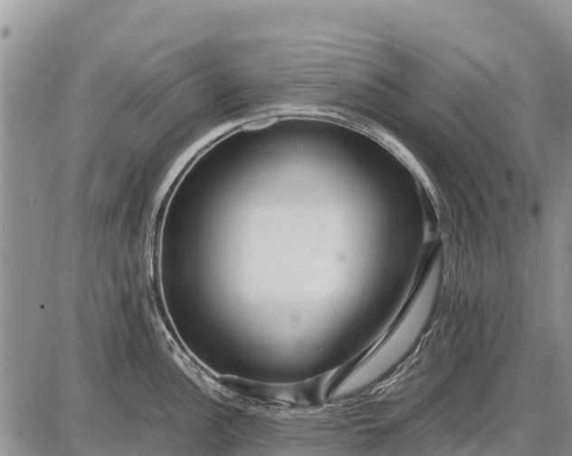 X0000087691148200705181748