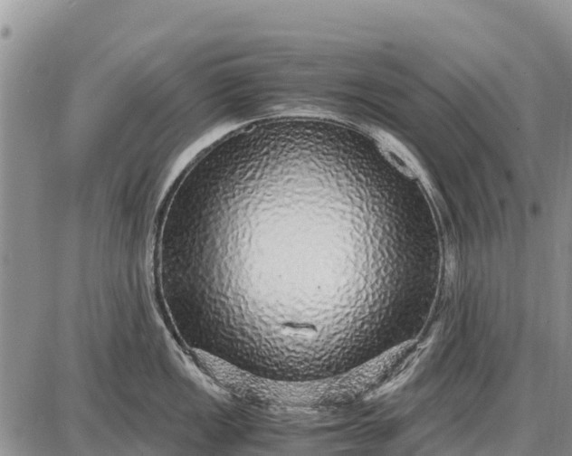 X0000087691149200705181748