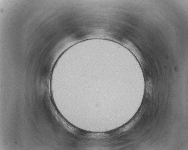 X0000087691150200705181748