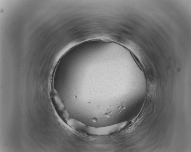 X0000087691151200705181748