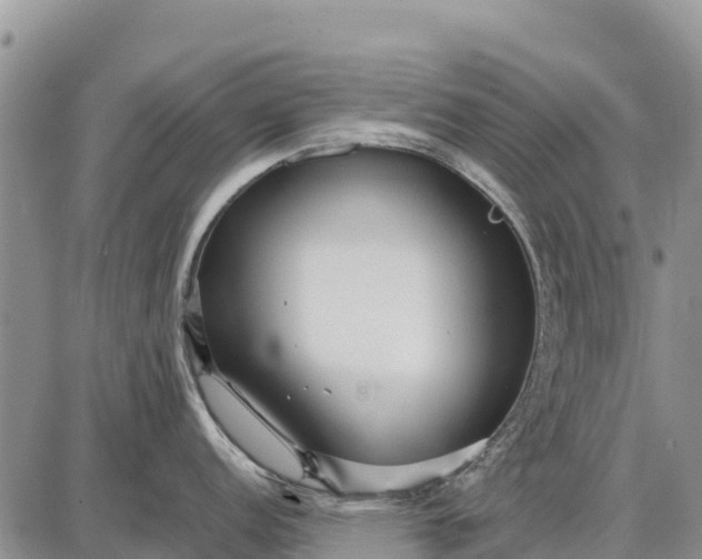 X0000087691152200705181748