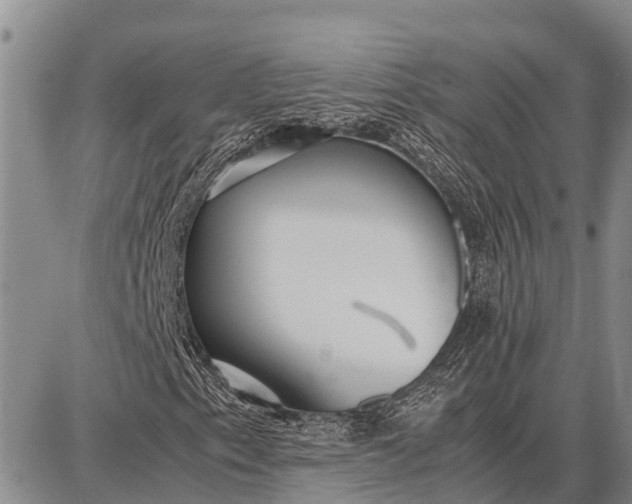 X0000087691153200705181747