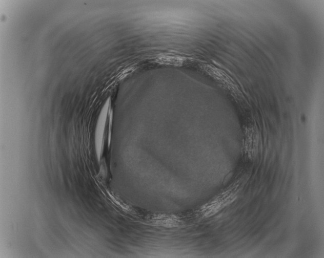 X0000087691154200705181747