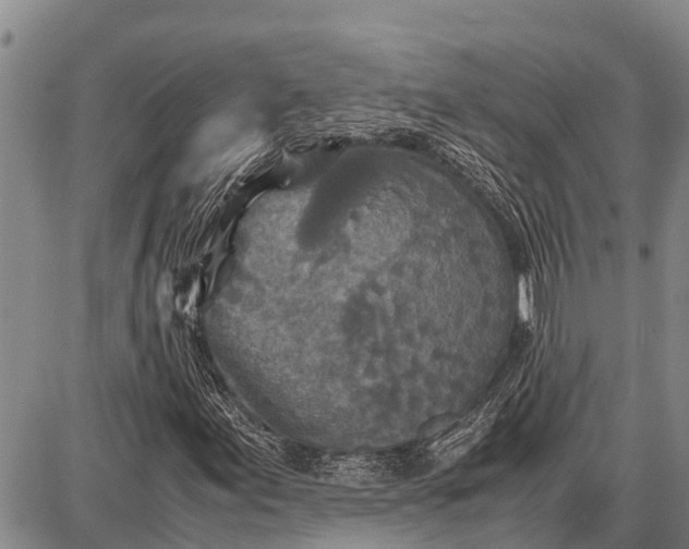 X0000087691155200705181747