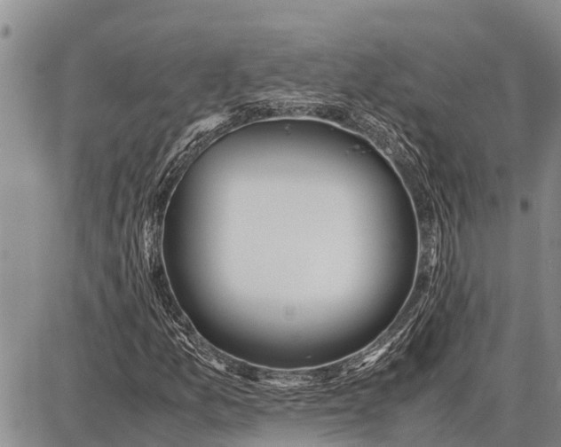 X0000087691157200705181747