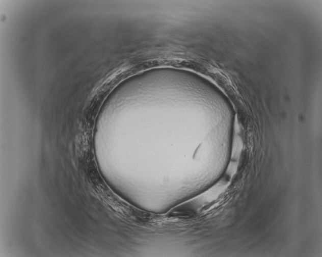 X0000087691159200705181747