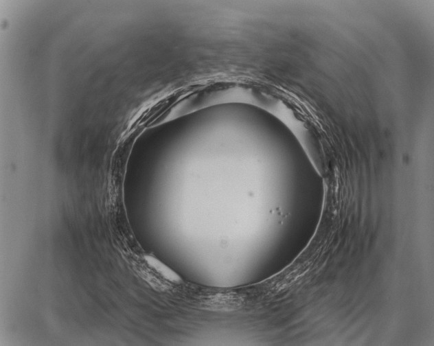 X0000087691160200705181747