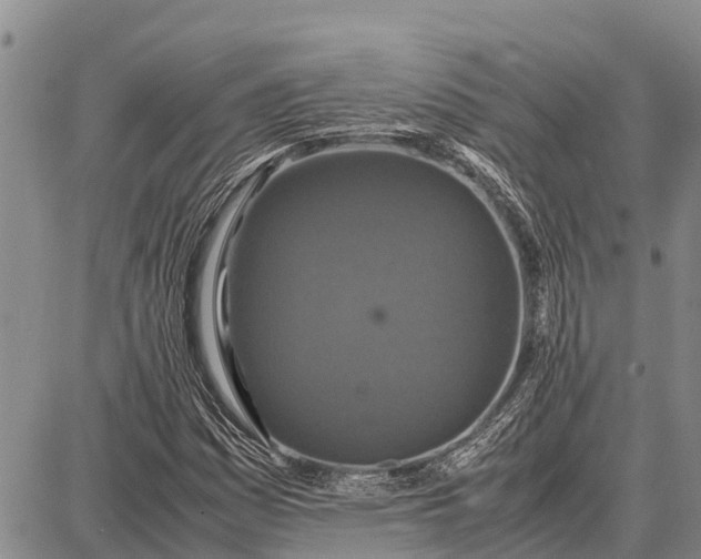 X0000087691161200705181747