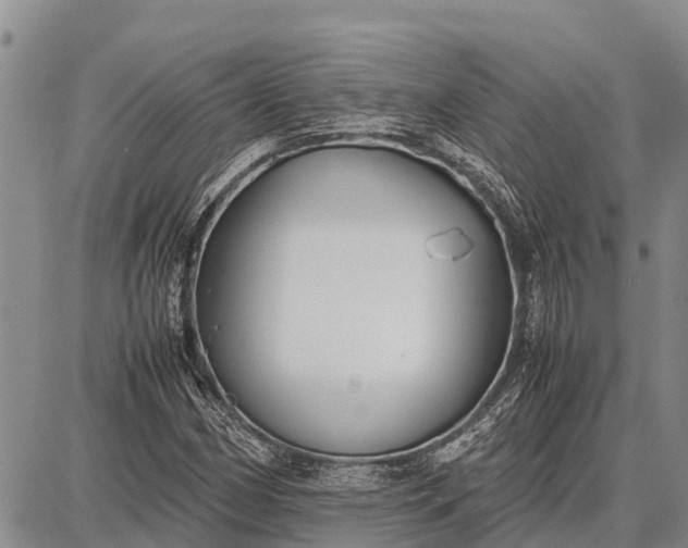 X0000087691162200705181747