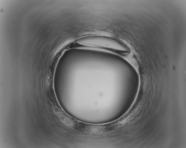 X0000087691163200705181747