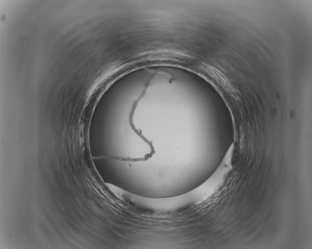 X0000087691164200705181747