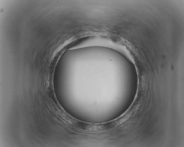 X0000087691165200705181747