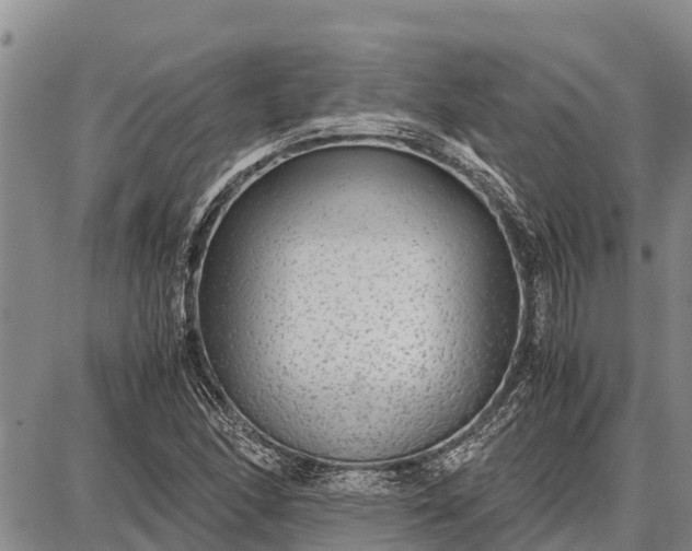 X0000087691166200705181747