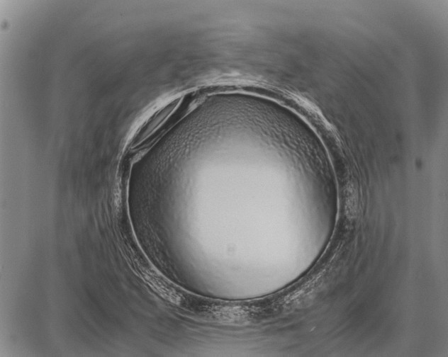 X0000087691167200705181747