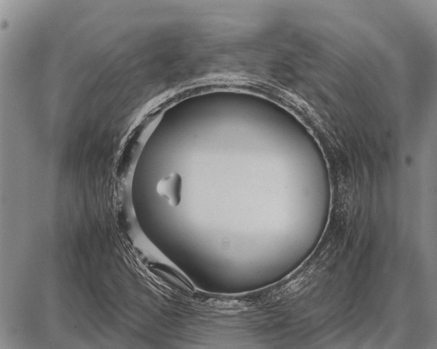 X0000087691168200705181747