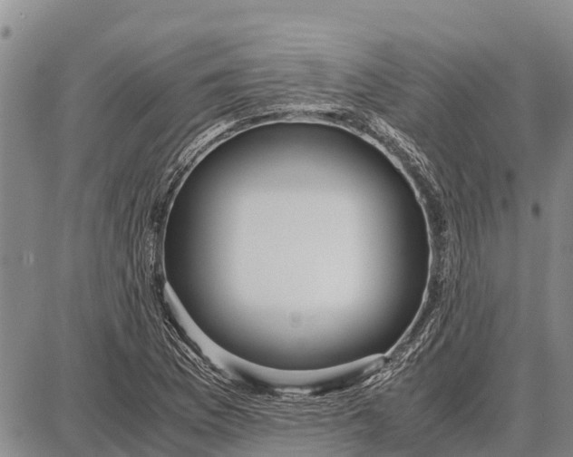 X0000087691169200705181747