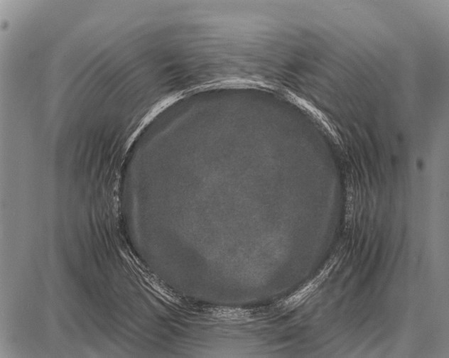 X0000087691170200705181747