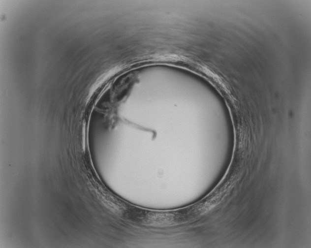 X0000087691171200705181747