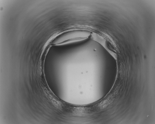 X0000087691172200705181747