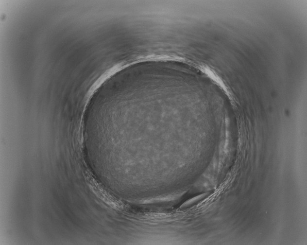 X0000087691173200705181747