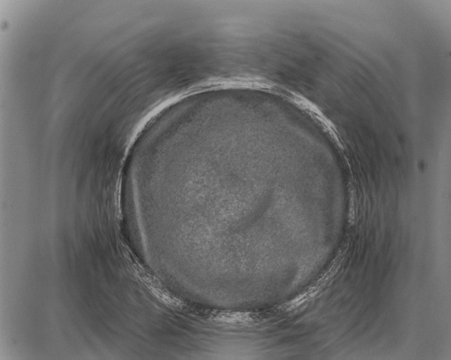 X0000087691174200705181747