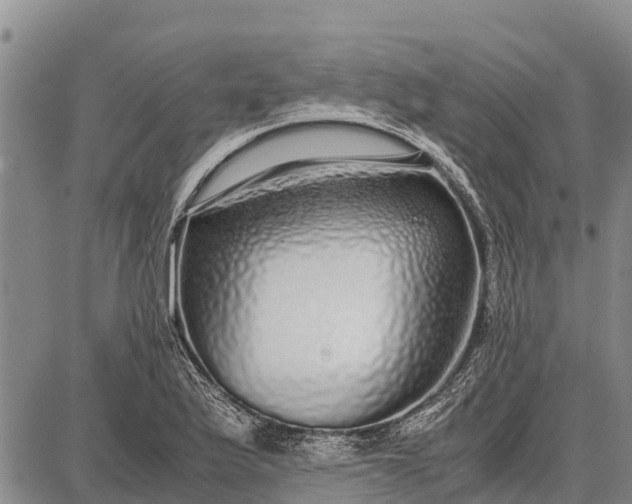 X0000087691175200705181747