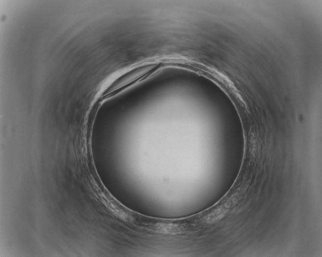 X0000087691176200705181747